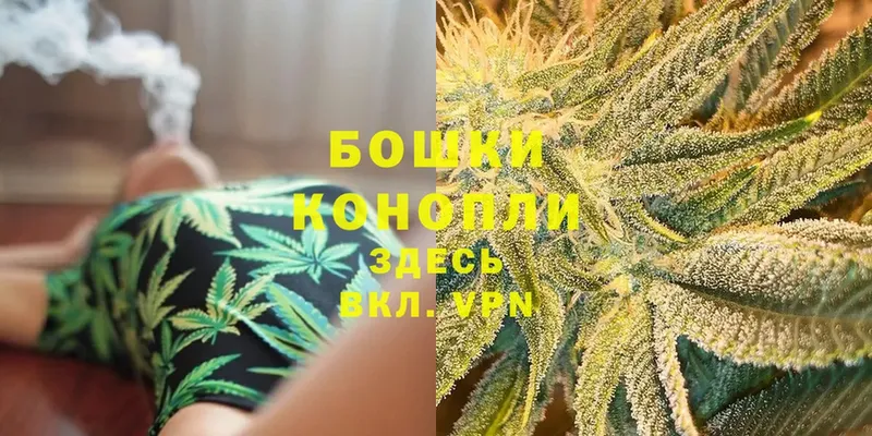 Конопля OG Kush  Котовск 